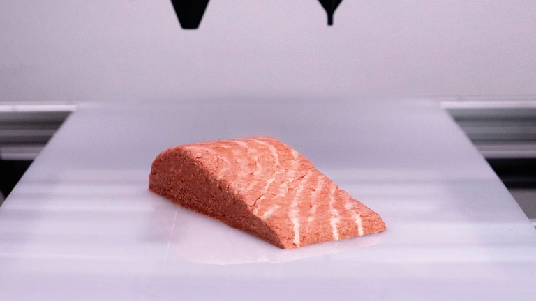 filetto salmone vegano