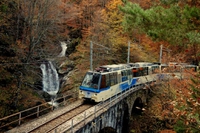 Treno del foliage, per ammirare le sfumature d’autunno in Piemonte e Svizzera