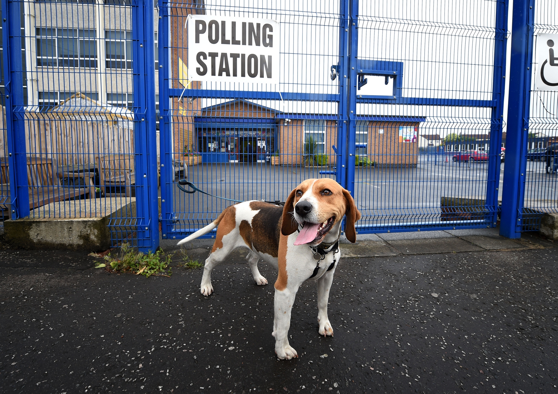 Elezioni Regno Unito 2017