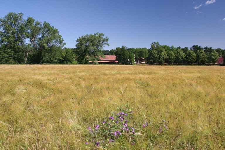 agricoltura biodinamica