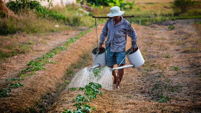 irrigazione agricoltura lotta integrata