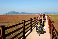 Cycloscope, il viaggio in bici che si trasforma in programma tv
