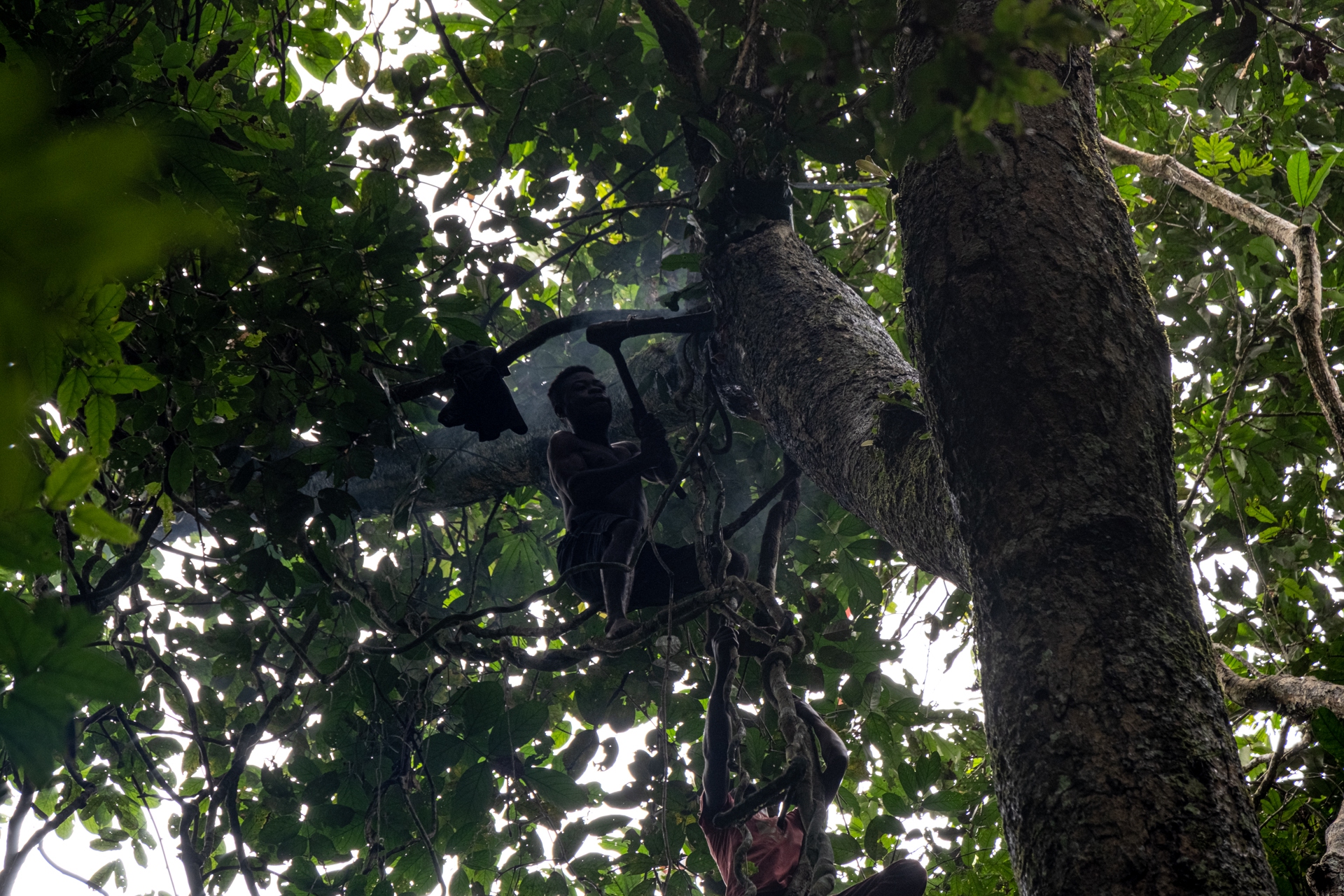 Foto Pigmei Congo- quindici