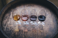 Vino rosso: elisir di lunga vita