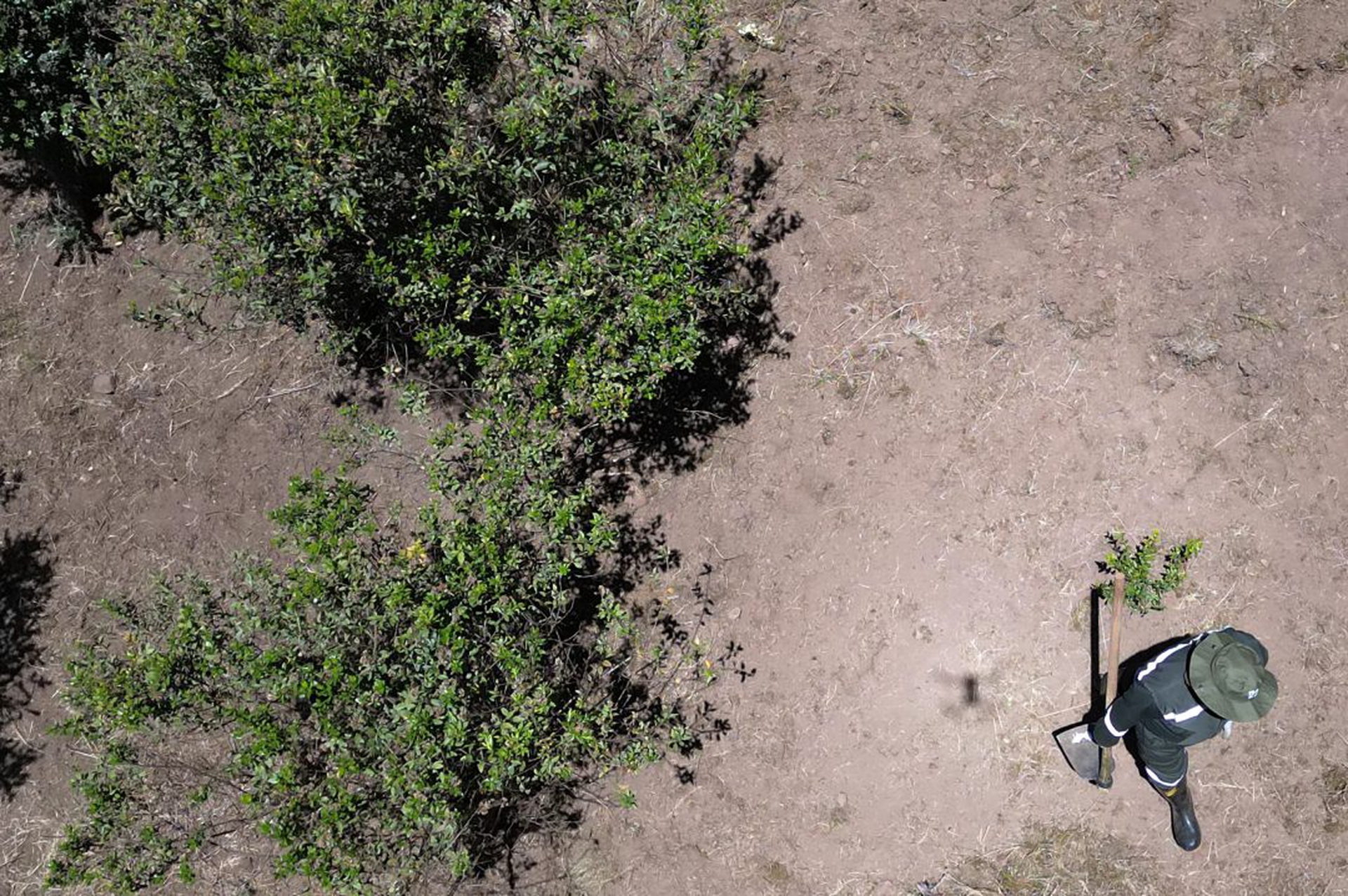 COLOMBIA-CONFLICT-JUSTICE-ENVIRONMENT