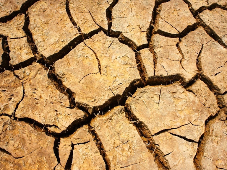 disinformazione e negazionisti climatici