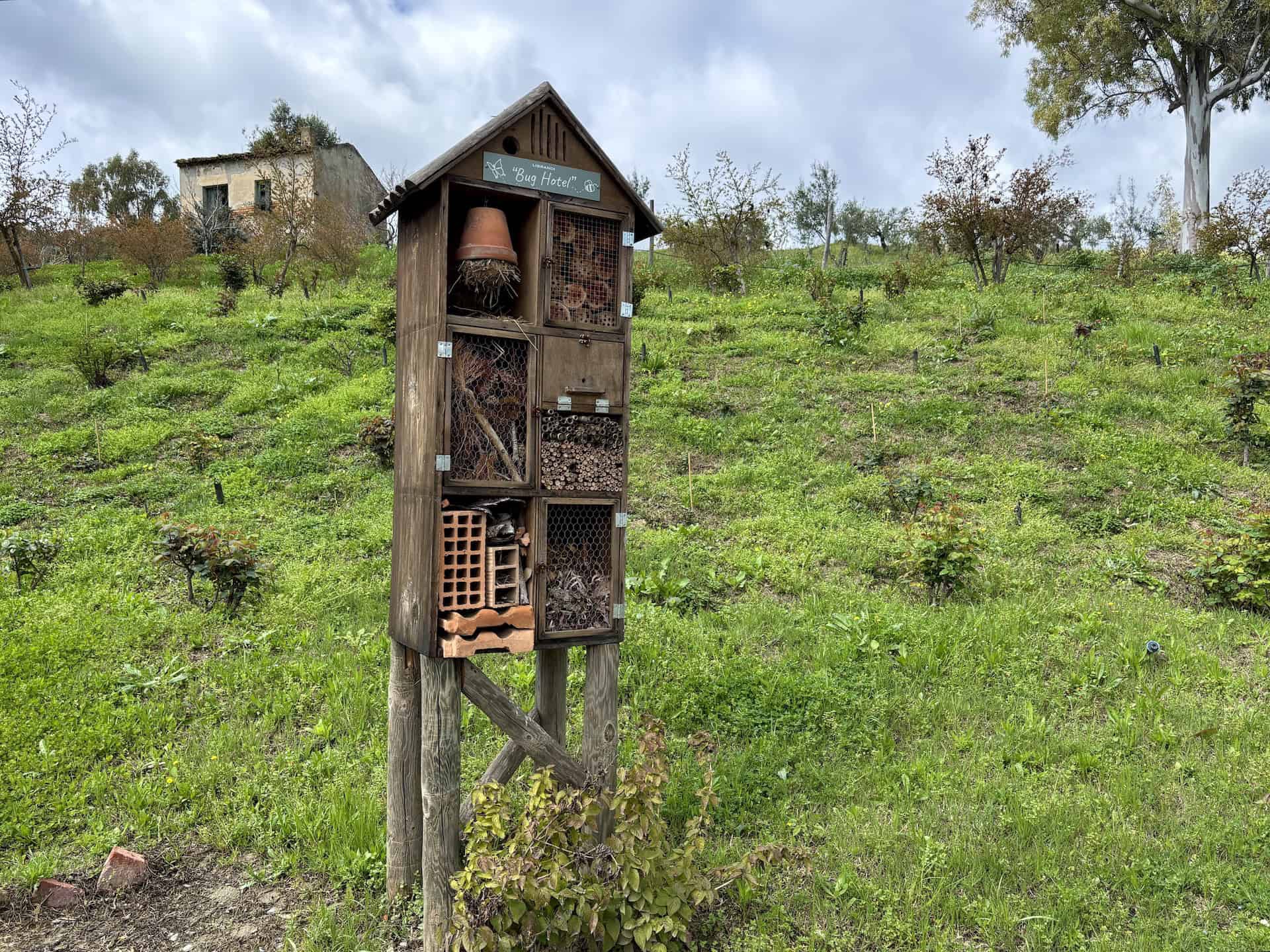 Bug hotel