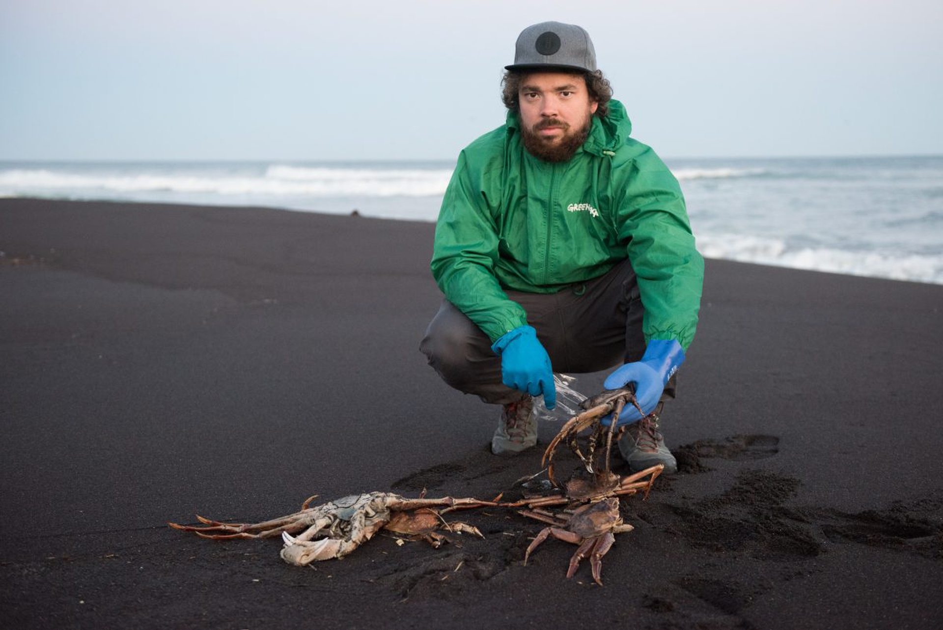 Il disastro ambientale in corso in Kamchatka