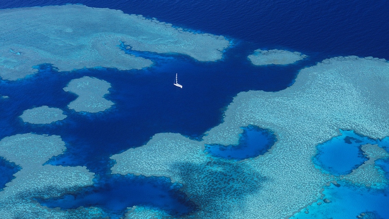 Grande barriera corallina australiana vista dal cielo
