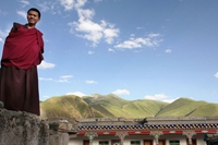 Tibetan monks plant trees to fight deforestation
