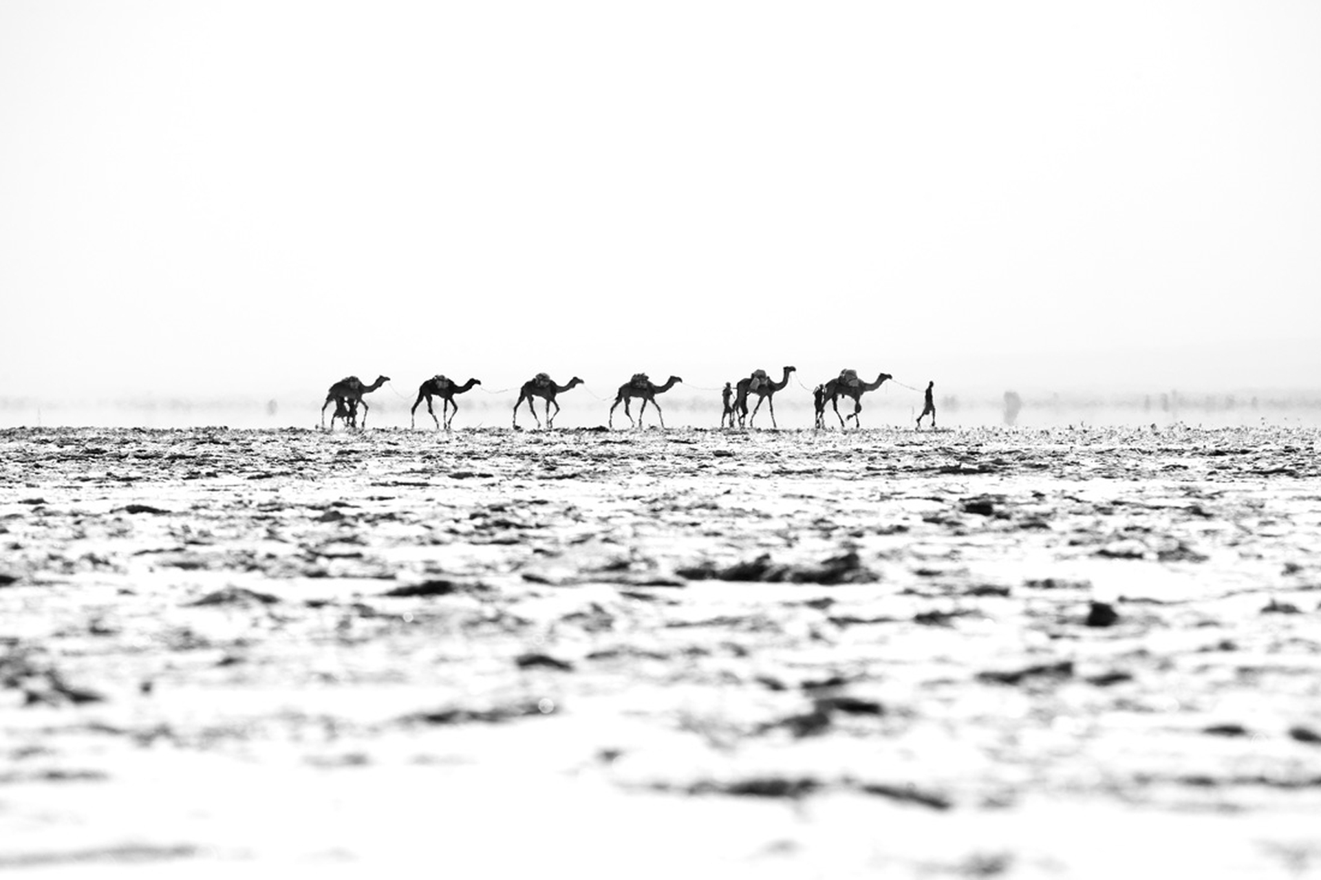 Scatti fatti durante i viaggi di Mille battute