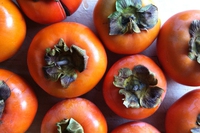 Cachi: tutto da sapere su varietà del frutto, le proprietà e valori nutrizionali