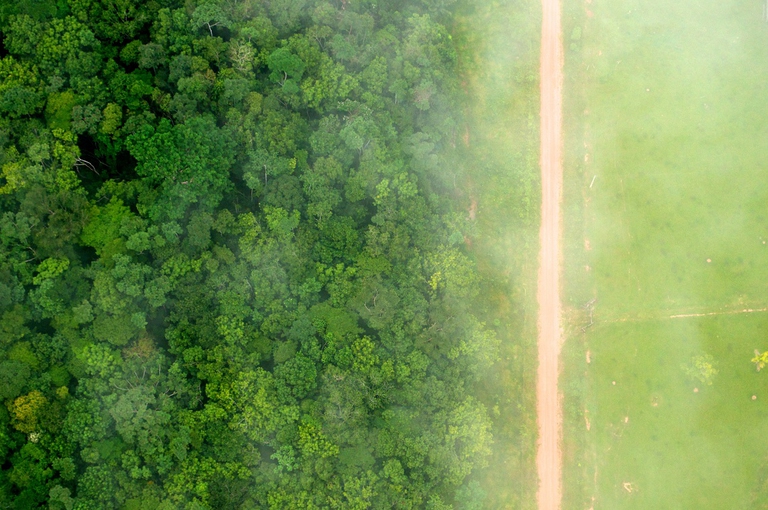 Deforestazione nei pressi di Rio Branco, in Brasile