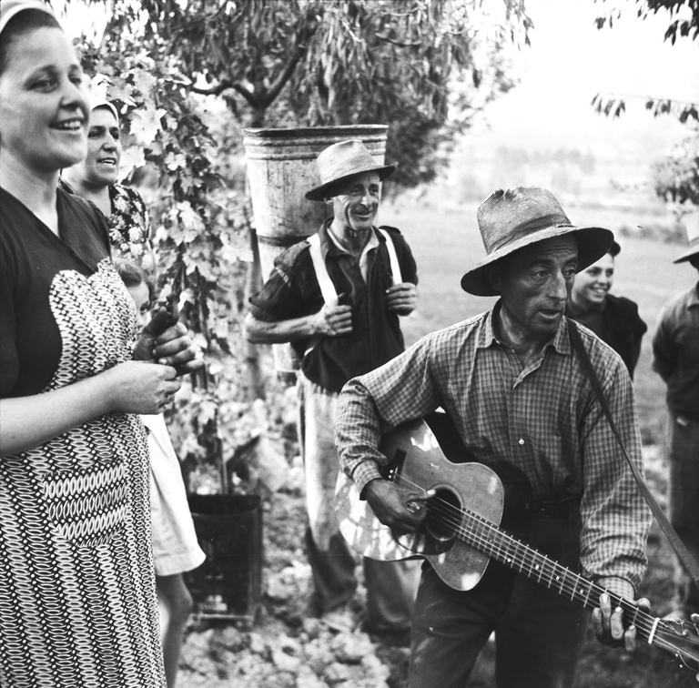 Vendemmia con canti nel Monferrato ritratta da Alan Lomax