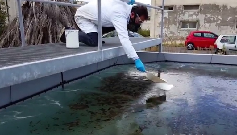 bioplastica che ripulisce mare da petrolio