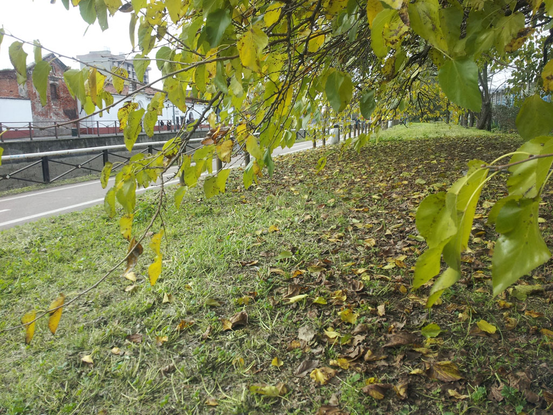 Riqualificazione-del-Naviglio-Grande-di-Milano-4