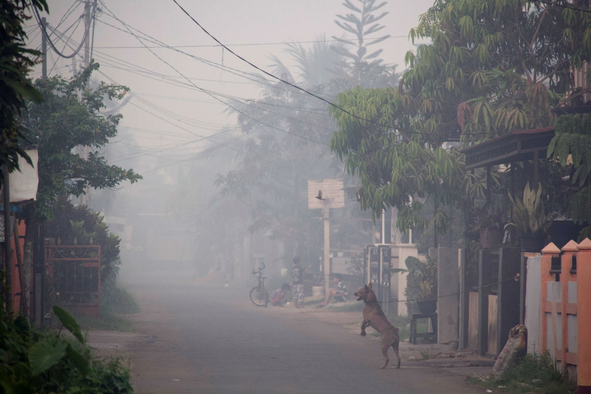 Il fumo avvolge l'Indonesia e il Sudest asiatico. Ed è anche colpa nostra