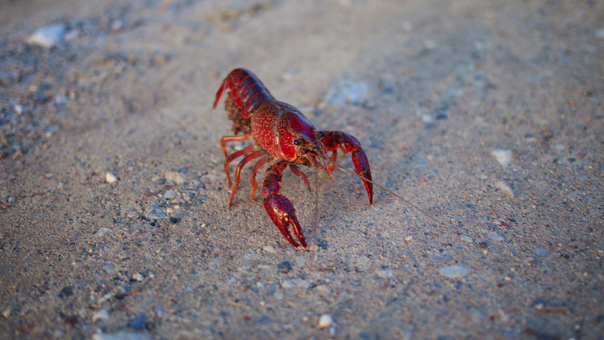 5010987187_7628731803_b