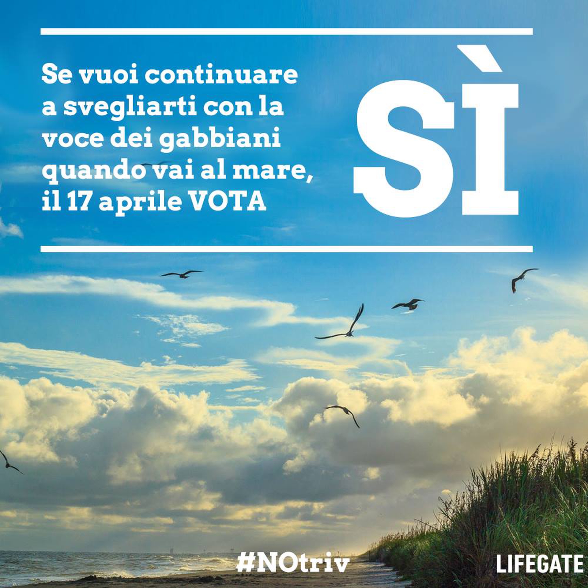 Vota sì per dire #NoTrivelle