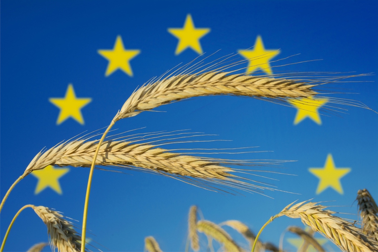 elezioni europee agricoltura