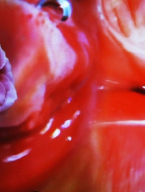 Videoarte, alla scoperta dei maestri delle opere a misura di schermo