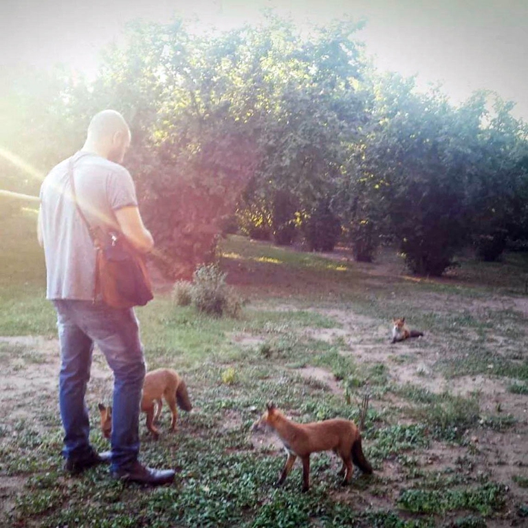 L'uomo delle volpi in compagnia degli animali selvatici