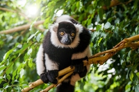 22 May is the International Day for Biological Diversity