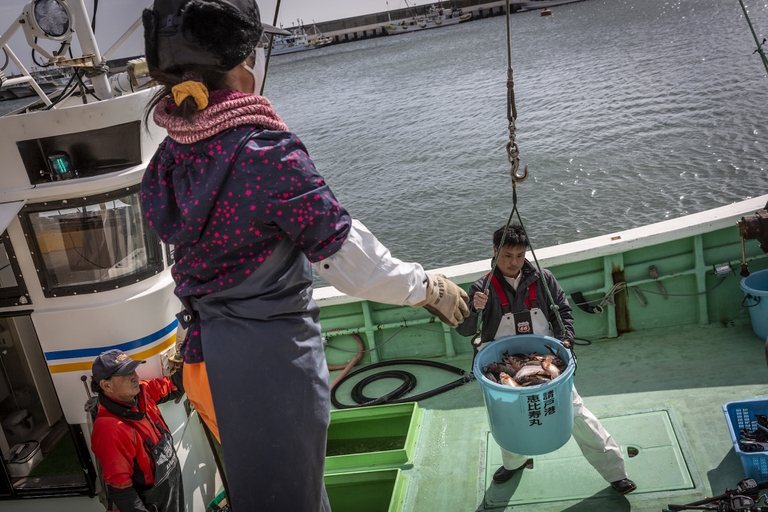 Fishing in Tohoku, Japan, fukushima water