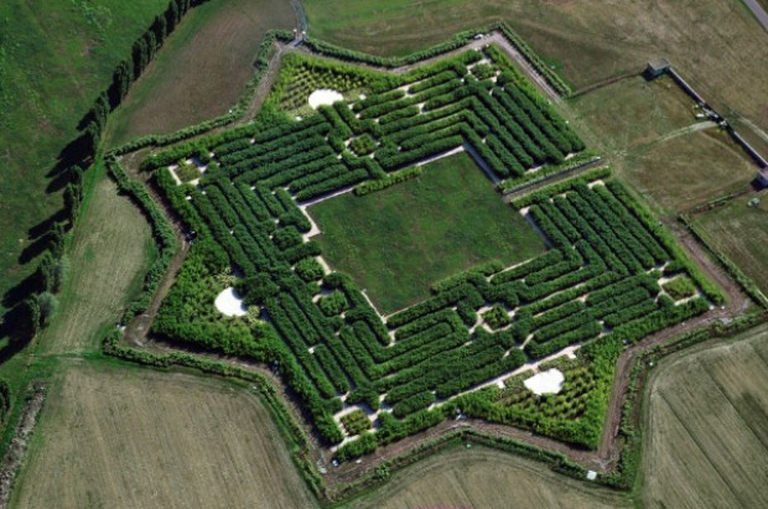 5-giganti-vegetali-5