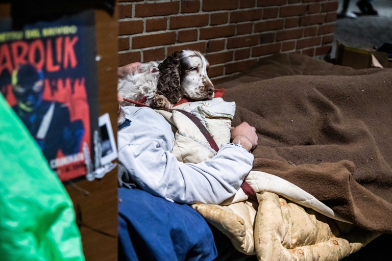 cani senzatetto Milano