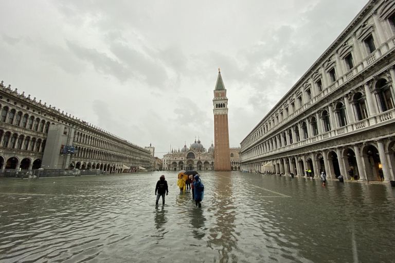 dissesto idrogeologico venezia, consumo di suolo