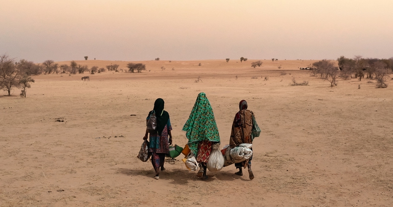 film Marcher sur l'eau cinemambiente
