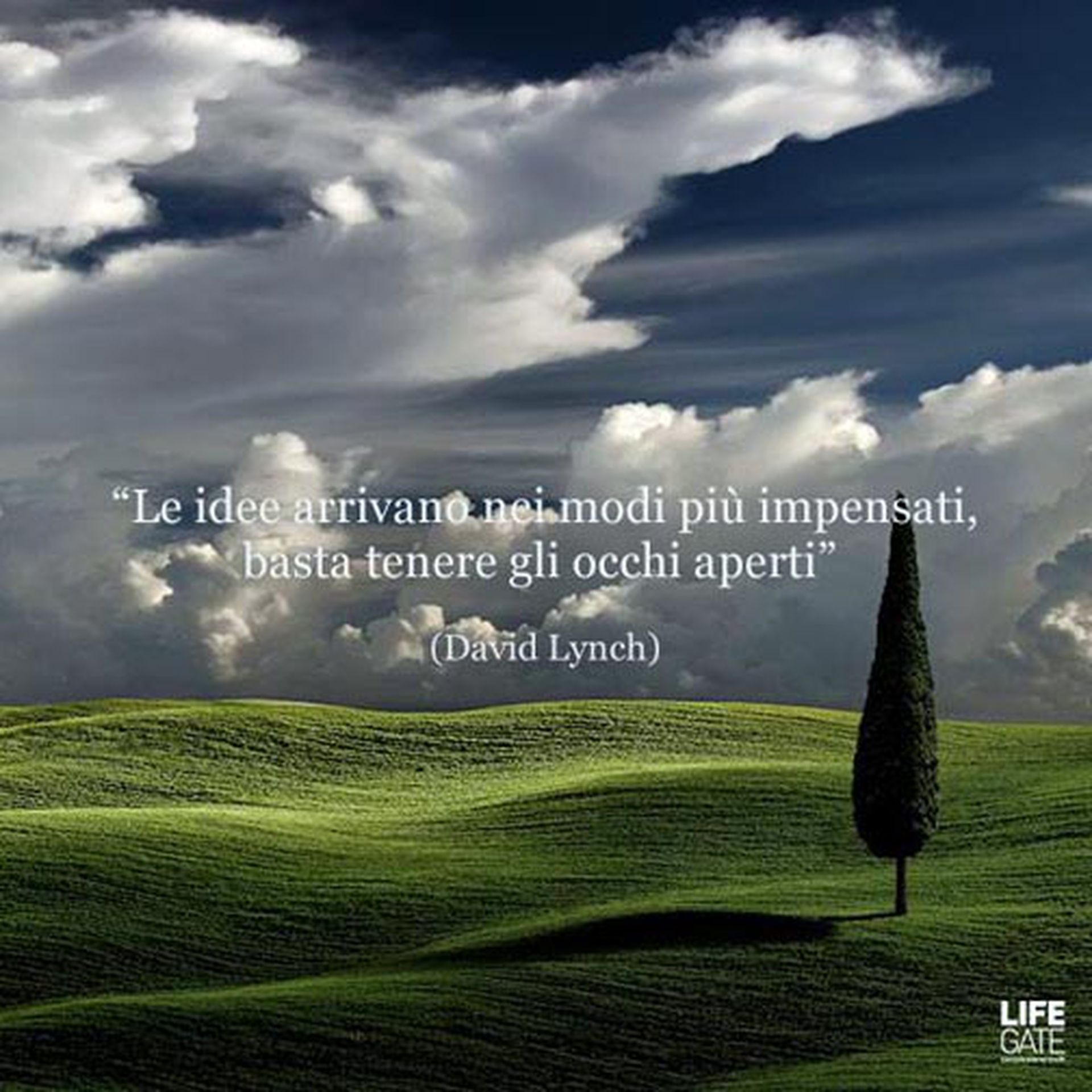 Le citazioni più belle per sempre - David Lynch