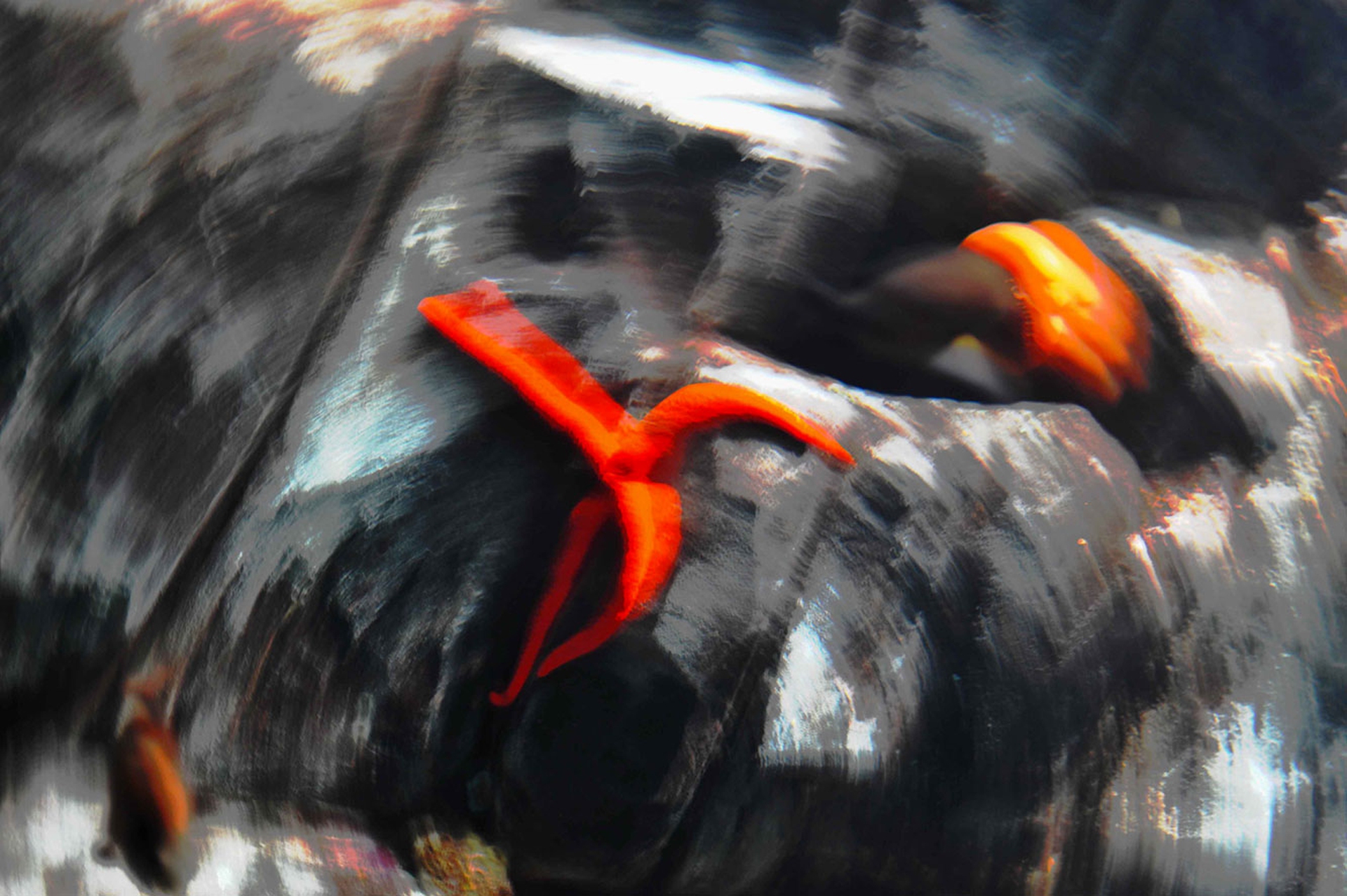 Giorgio-Melis-Pesca-illegale-