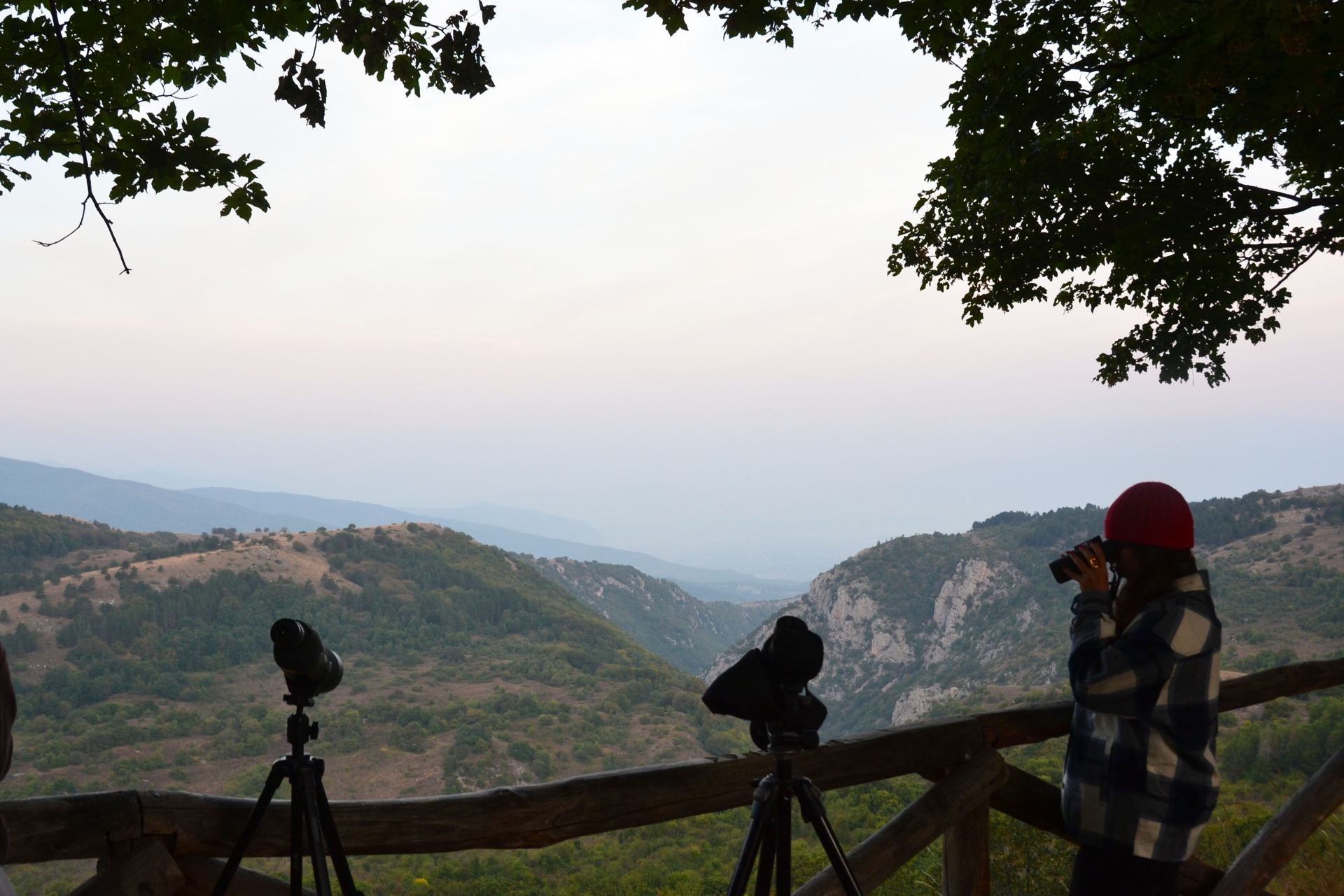 gioia vecchio parco abruzzo2