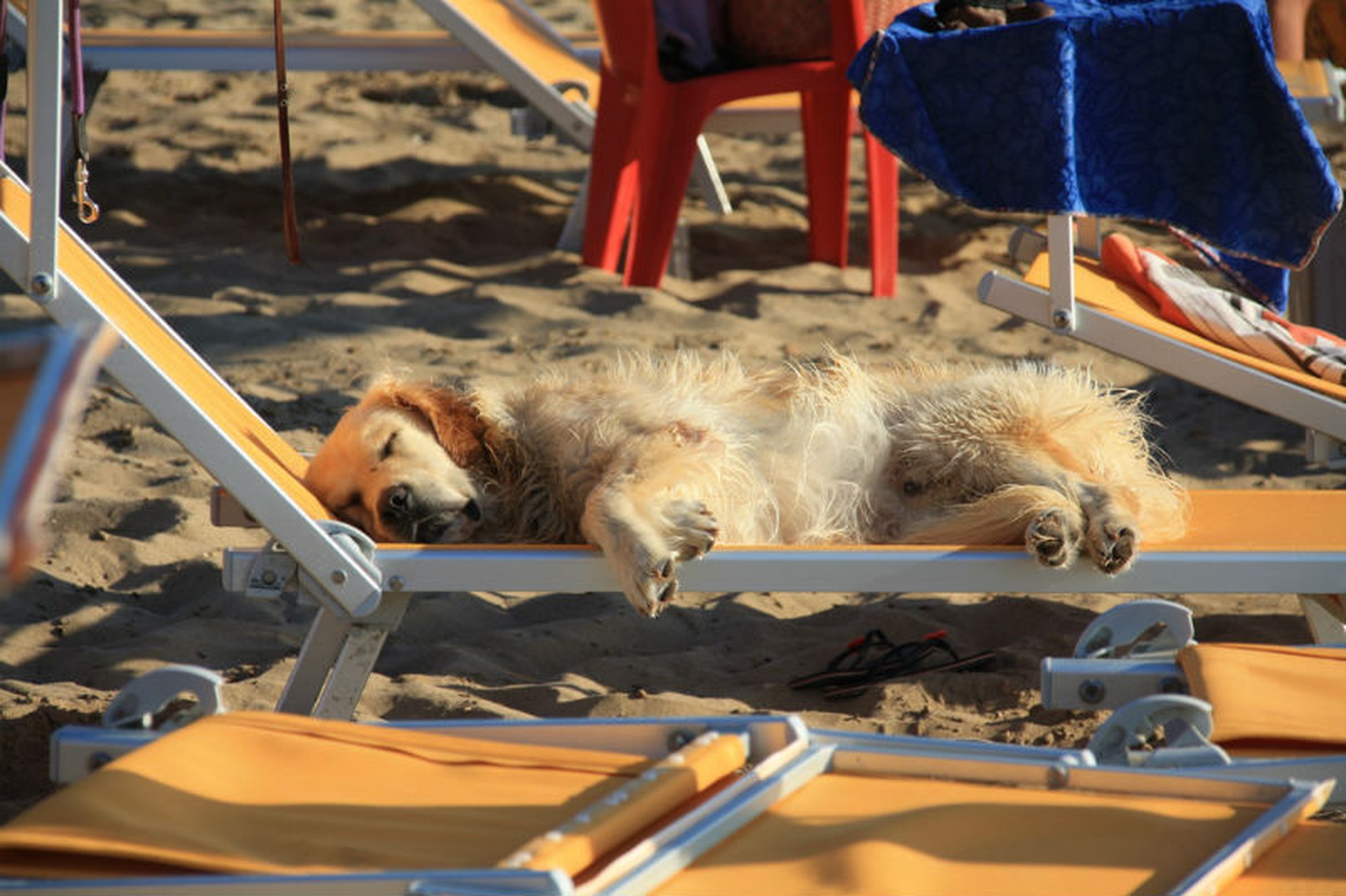 10 spiagge per un'estate indimenticabile
