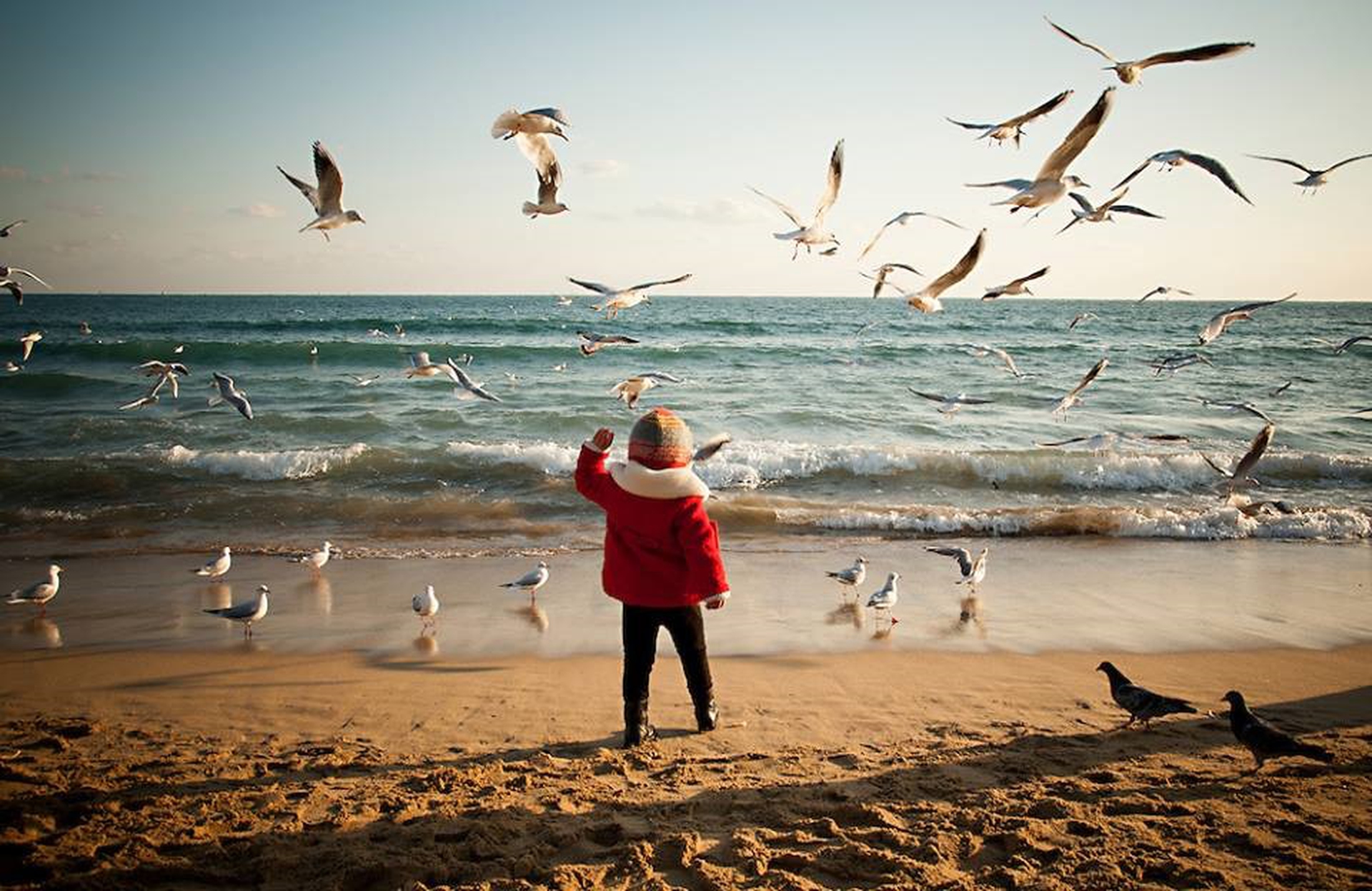Asilo del mare: le foto