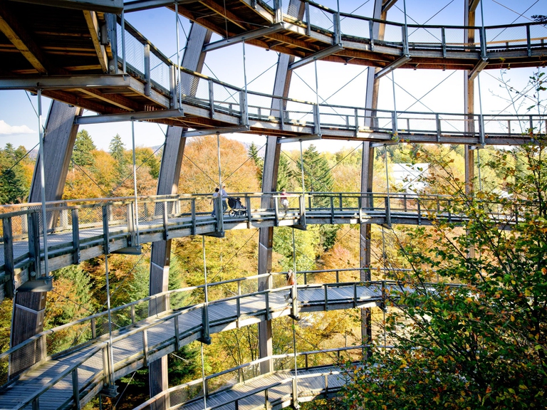 La torre a Neuschönau, Baviera