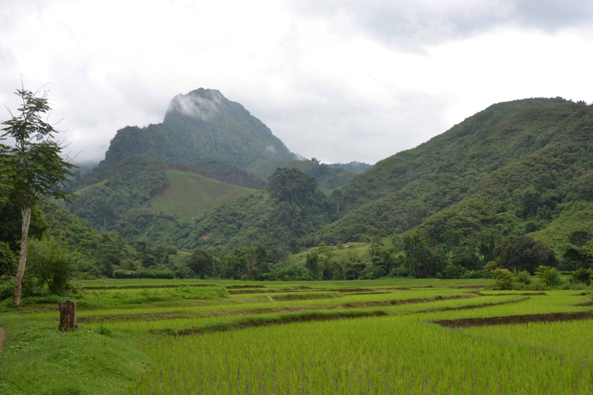 Tra le montagne del Laos, dove si fa scuola di ecoturismo da 30 anni