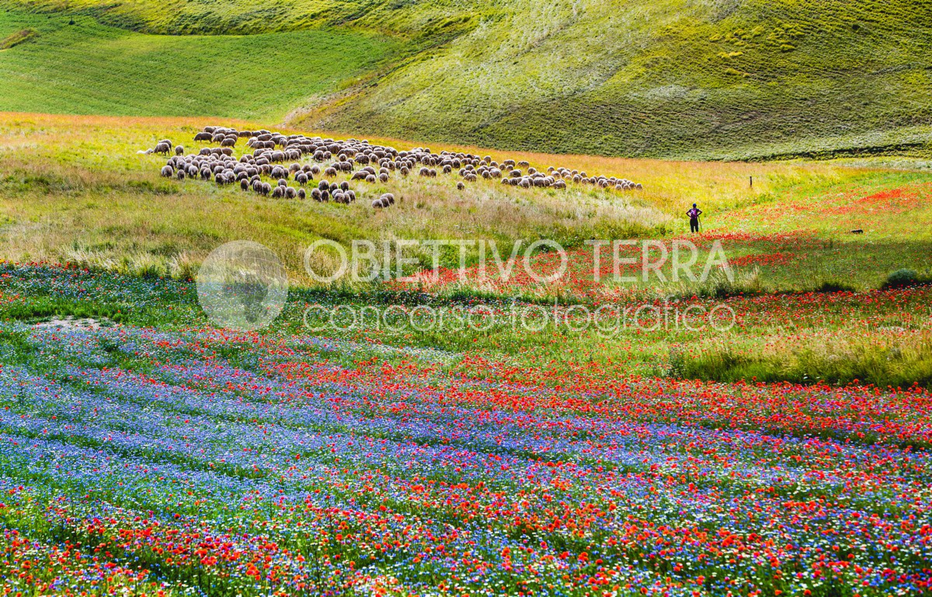 Parco nazionale dei Monti Sibillini (Umbria, Marche)