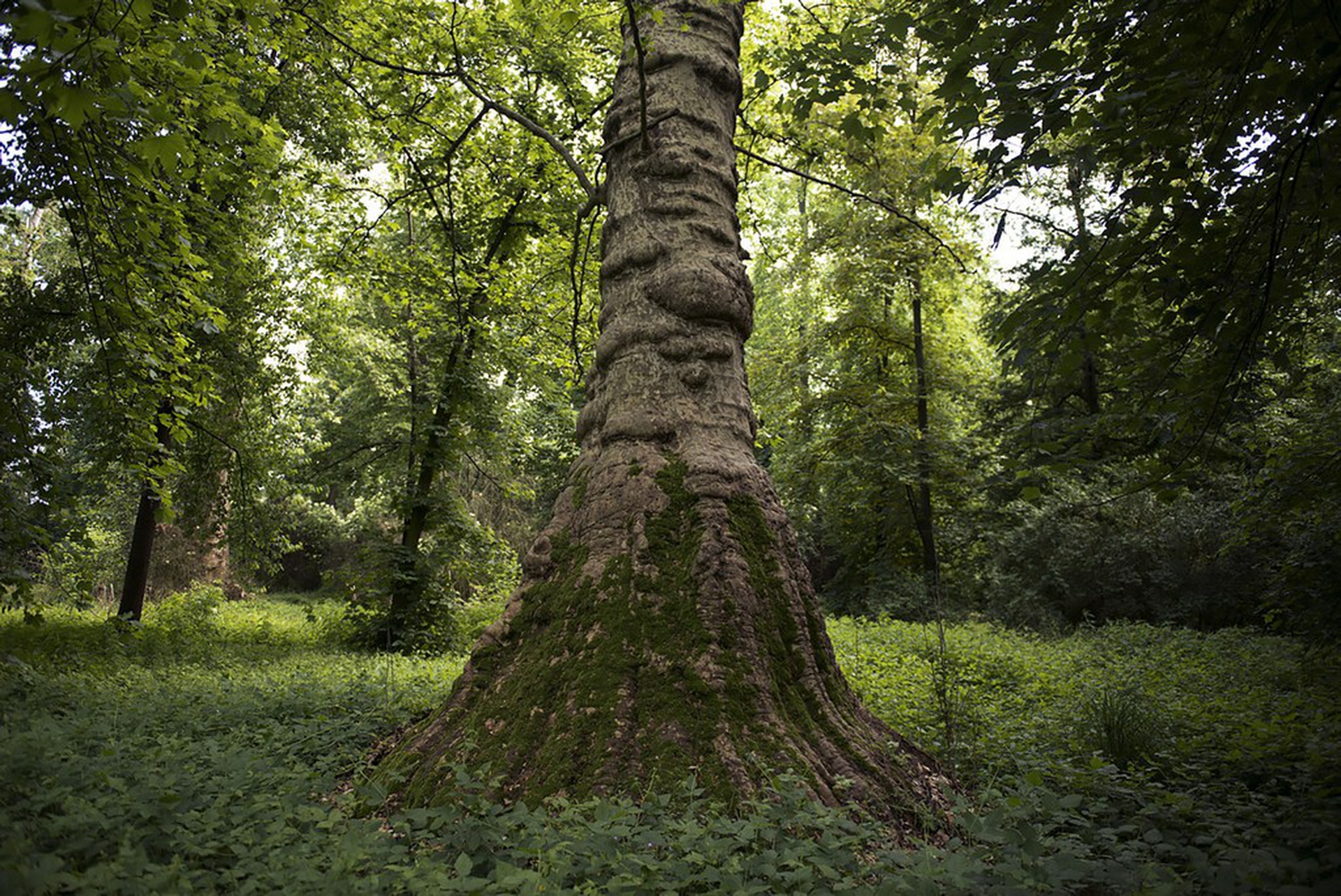 Calendario 2018 Amani, settembre