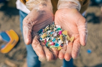 Microplastiche, un nuovo studio Usa le rileva anche nel corpo umano