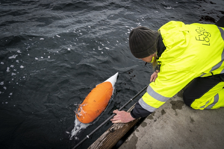 Pinguino-robot © Hereon