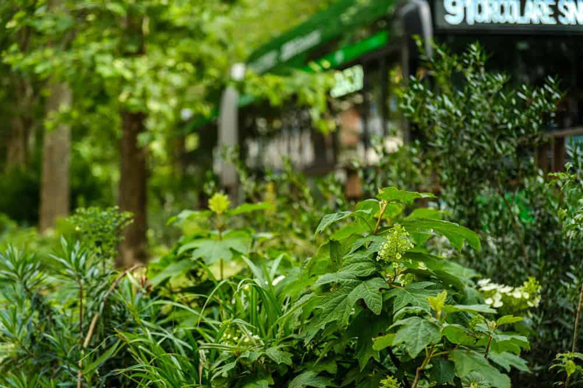 Credit Forestami - Milano Green Circle-75_LD