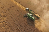 How agriculture and climate change are related: causes and effects