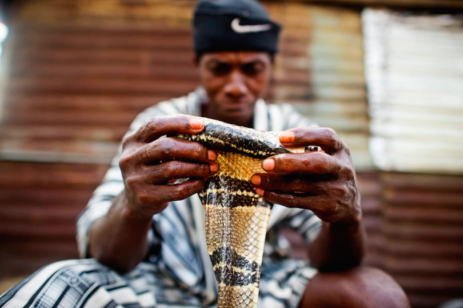 5 snake-skin