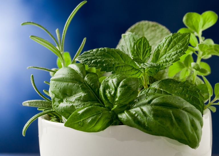 erbe-aromatiche-salute-3