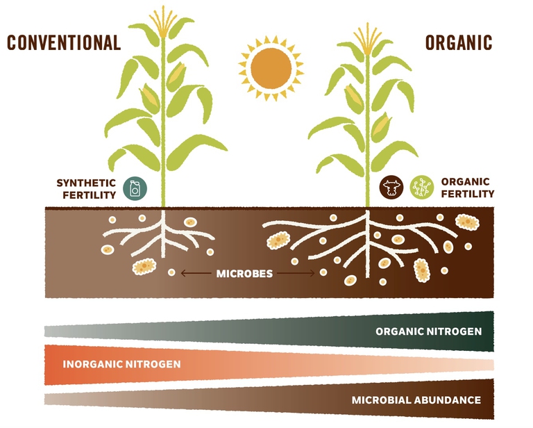 agricoltura biologica