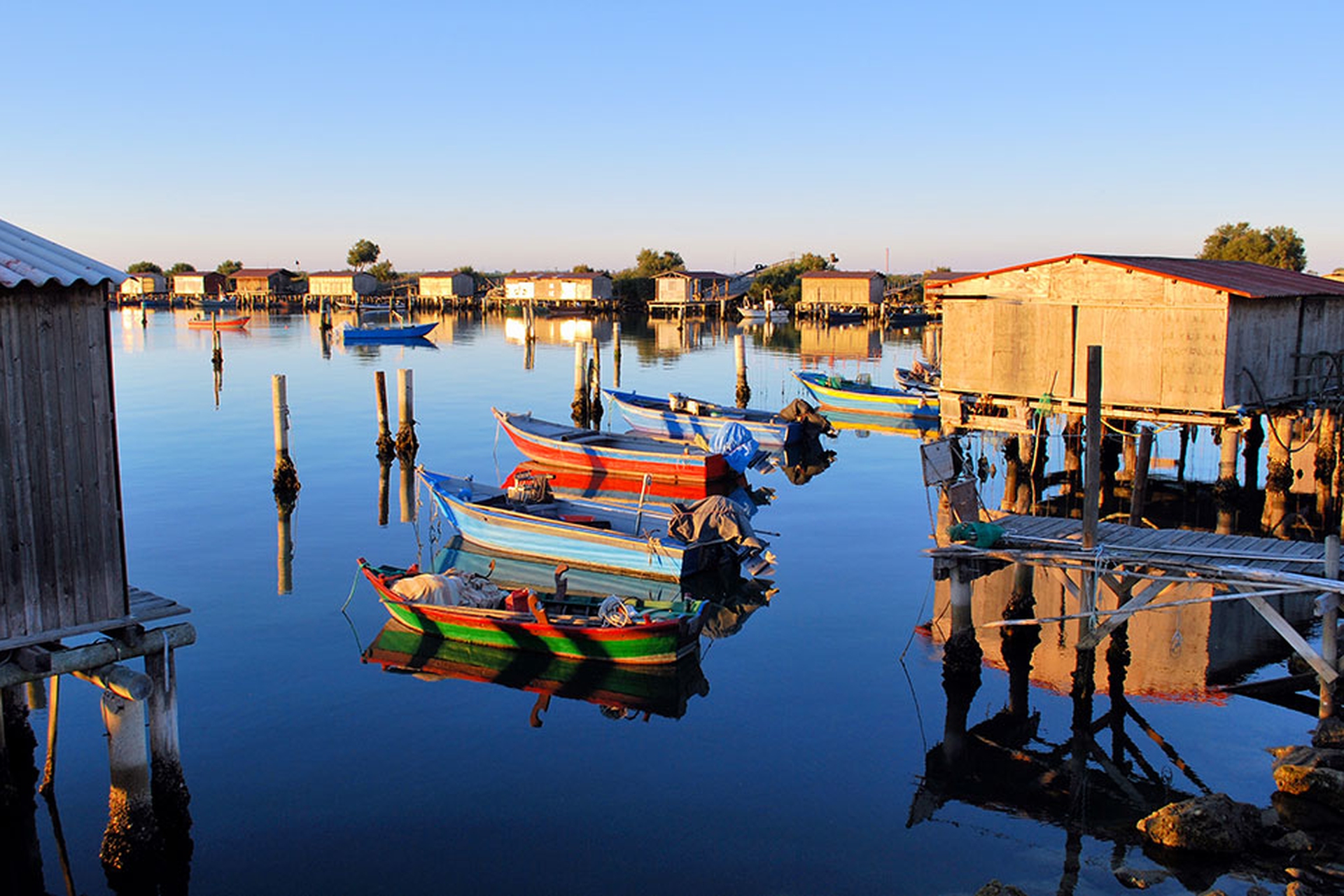 Perché il delta del Po deve diventare parco nazionale LifeGate