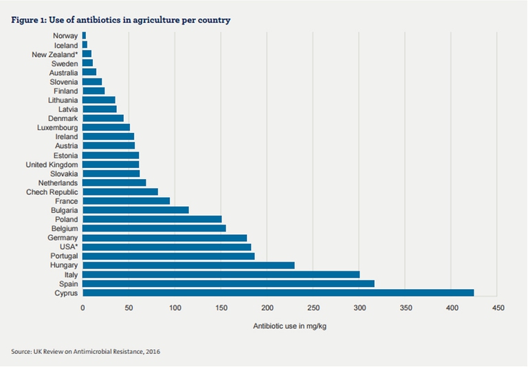 antibiotici negli allevamenti
